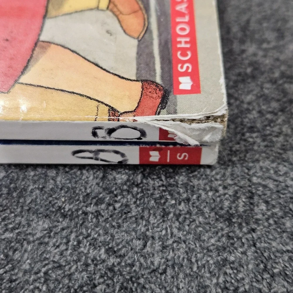 Lot Of 2 Books Invisible‎ Stanley And Stanley, Flat Again! By Jeff Brown